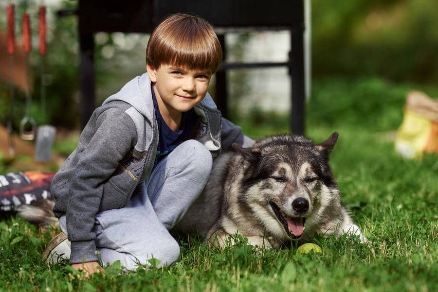 boy with a dog